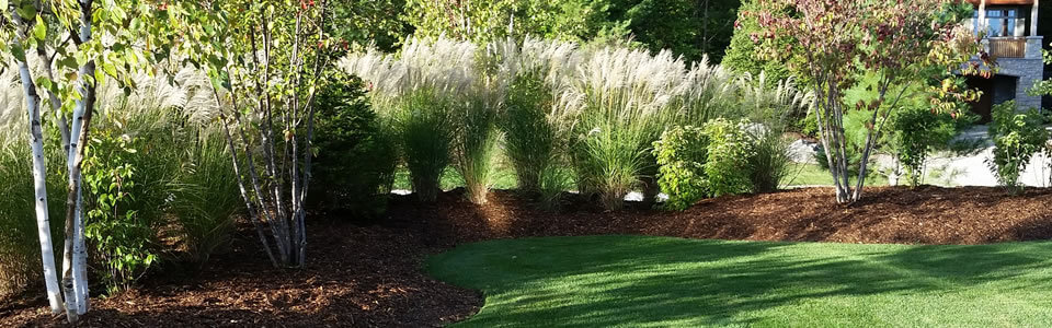 Learn about the benefits of mulch