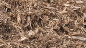 A close up picture of cedar mulch