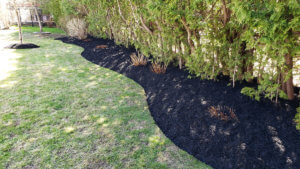Black mulch in long garden