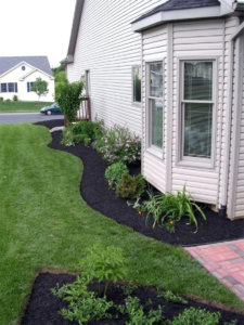 a picture of black mulch in a side garden