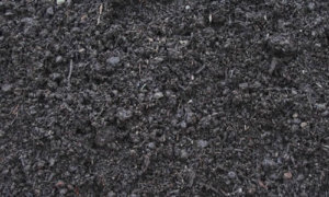 a picture of compost