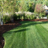 a picture of house mulch in gardens