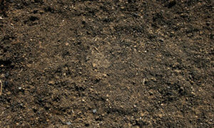 a picture of house topsoil